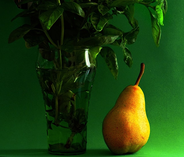 Morqelantivo galéria 3